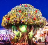 에버랜드, 3월부터 이용권 요금 최대 15.4% 오른다...친구 4명 가면 27만2천원