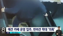 청주의 애견 카페에 믿고 맡긴 반려견...발길질 당해 잔뜩 겁 먹은 채 돌아왔습니다