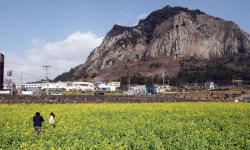 물가 너무 비싸 관광 산업 직격탄 맞은 제주...제주도 갈 돈으로 일본 가요