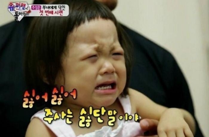 에이스애견미용학원 이미지