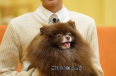 개통령 강형욱 만나자 주인은 쳐다도 안보는 제니 반려견 쿠마 (+영상)