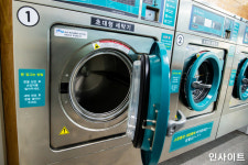 코인세탁소에서 고양이 담요 빨래한 캣맘 때문에 아끼던 옷이 쓰레기 됐습니다