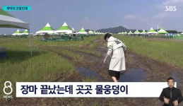 나라 망신...전세계 청소년 4만명 불러 홍수난 곳에 텐트치라 한 새만금 잼버리 근황