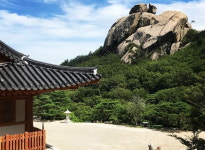 드라마 촬영장서 탈출해 화암사에 절밥(?) 먹으러 달려간 말 배우 4마리