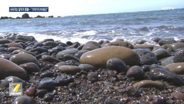 제주도 해변에만 있는 자갈돌 몽돌 박스째 훔쳐 갔다가 잡힌 중국인 모녀