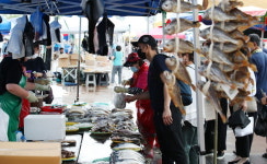 성남 모란시장 상가로 1t 트럭 돌진해 보행자 덮쳐...8명 병원 이송