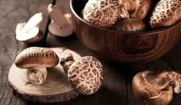 등에 채찍 맞은 듯한 발진 일어나...샤브샤브 덜 익혀 먹으면 큰일 납니다