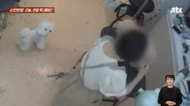 목 잡아 흔들고 주먹으로 옆구리 가격...고양시의 한 애견샵에서 벌어진 충격 상황 (영상)