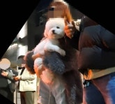 오토바이 운전자 숨지게 하고도 ....만취 운전한 강남 벤츠녀, 강아지 품에 안고 쓰다듬기만 해