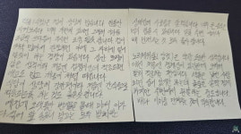 산골에서 동물병원 오가기 힘든데도 구독자가 버리고 간 고양이 2마리 받아준 유튜버 (+이유)