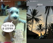 하와이서 홀로 귀국한 류준열...한소희는 블로그 이어 인스타까지 비공개