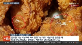 대형마트 치킨에서 살아있는 파리에 파리 알까지 나왔습니다