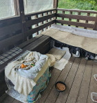 길냥이집으로 변한 파주 등산로 쉼터...물·사료 지원해달라 황당 안내문까지