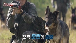 8년간의 군 생활 마치고 떠나는 군견 우도에게 동료들이 전한 특별한 전역 선물 (영상)