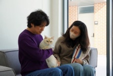 개관 9개월 만에 버림받은 냥냥이 100마리 새 가족 찾아준 입양센터의 정체