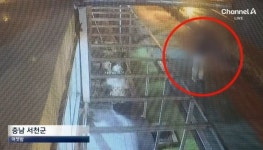 산책하던 여성 흉기로 살해... 서천 묻지마 살인 30대 남성, 신상 공개 결정