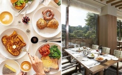 신라호텔, 뉴욕 정통 브런치 셰프 모셔왔다... 서울 한복판에서 먹는 리틀 에그