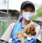 트와이스 정연, 유기동물 사료 부족하다 소식 접하고 곧장 지갑 열어 기부