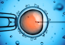 의사 대신 AI와 로봇이 시험관 시술해 성공... 세계 최초 AI 시험관 아기 탄생