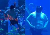 아이들 동심 파괴시킨 어느 아쿠아리움 뚱보 인어... 살 흔들며 유영해 (영상)