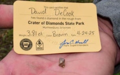 사탕인 줄 알고 주웠는데 다이아몬드... 미국 한 공원에서 사람들이 땅만 보고 다니는 이유