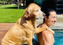 다니엘 헤니, 암 걸린 반려견 로스코 위해 다큐 감독 도전