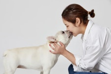 우리 댕냥이 생각하는 똑똑한 반려인이라면, 펫푸드 구입 전 이것 꼭 체크하세요