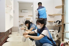 애경산업 휘슬, 세계 유기동물의 날 맞아 2500만원 상당 물품 기부