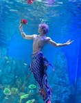부상으로 19살에 은퇴했던 프로 다이빙 유망주... 3년 만에 인어왕자돼 나타났다 (영상)