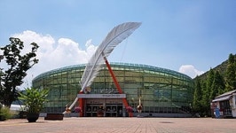 경주 동물원 버드파크서 화재... 40분 간 수족관 물고기·식물 불태워