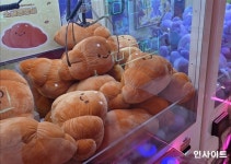 어쩐지 안뽑힌다 했다... 지갑 탈탈 털어가는 인형뽑기 기계 꼼수 조사해보니