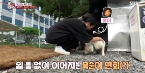 동물농장 시청률 캐리한 복순이... 동탄서 모르는 사람 없는 슈퍼스타 됐다