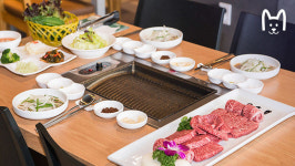 풍미 가득 한우도 먹고 관광까지 한번에... 한화리조트 평창에서 1박하면 생기는 일