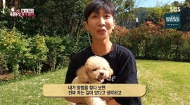 시각장애인 한솔과 천재견 토리의 기적 같은 어질리티 완주... TV동물농장 최고 시청률 3.8% 기록