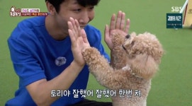 시각장애인 한솔과 천재견 토리의 기적 같은 어질리티 완주... TV동물농장 최고 시청률 3.8% 기록