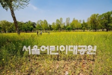 어린이대공원 곰, 벽에 머리를 계속 쾅쾅... 관람객 안타깝고 충격 민원