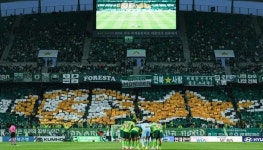 전북 타노스 코치, 눈 찢기 인종차별 인정... 출장정지 5경기·제재금 2천만원