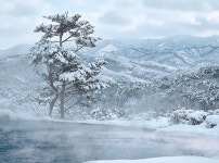 설악 설경·제주 화산 풍경 속 힐링... 겨울철 찾기 좋은 인생 온천 6곳