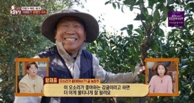 제주 귤 농장, 껍질만 덩그러니... 매일 밤 백여 개씩 훔쳐간 범인은?