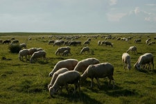 단순 숙취 아니었다... 호주 여행 중 무심코 이것 만졌다가 18개월간 병원 신세 진 女