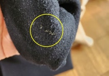 드라이클리닝했는데 얼룩·주름 그대로... 세탁 맡긴 코트 상태 두고 갑론을박