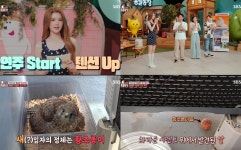 태어난 것 자체가 기적 막내 황조롱이, 드디어 날았다... 뭉클한 성장기