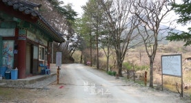 승려대회로 조계종 개혁해도 좋지 않겠나