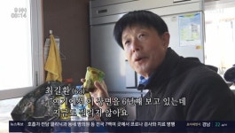 인간극장 여수 낭도 부부, 경치 자랑 몽유도원도 같아