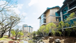 LG 레저부문 에스앤아이, 디앤오(D&O)로 사명 변경