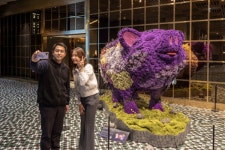 제주 드림타워에 이색 명물 꽃돼지…블루밍 피그로 변신한 제주 흑돼지