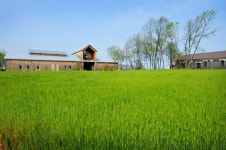 상하농원, 고창 방문의 해 맞아 꽃보다 청보리 등 4월 이벤트 진행