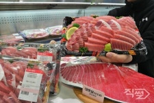 [포토 직썰] 롯데마트 참치데이 맞아 참치회 반값 판매