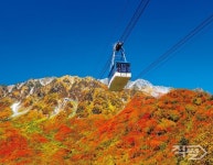 롯데관광개발, 추석연휴 도야마 직항 전세기 상품 출시