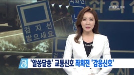 R)알쏭달쏭 교통신호